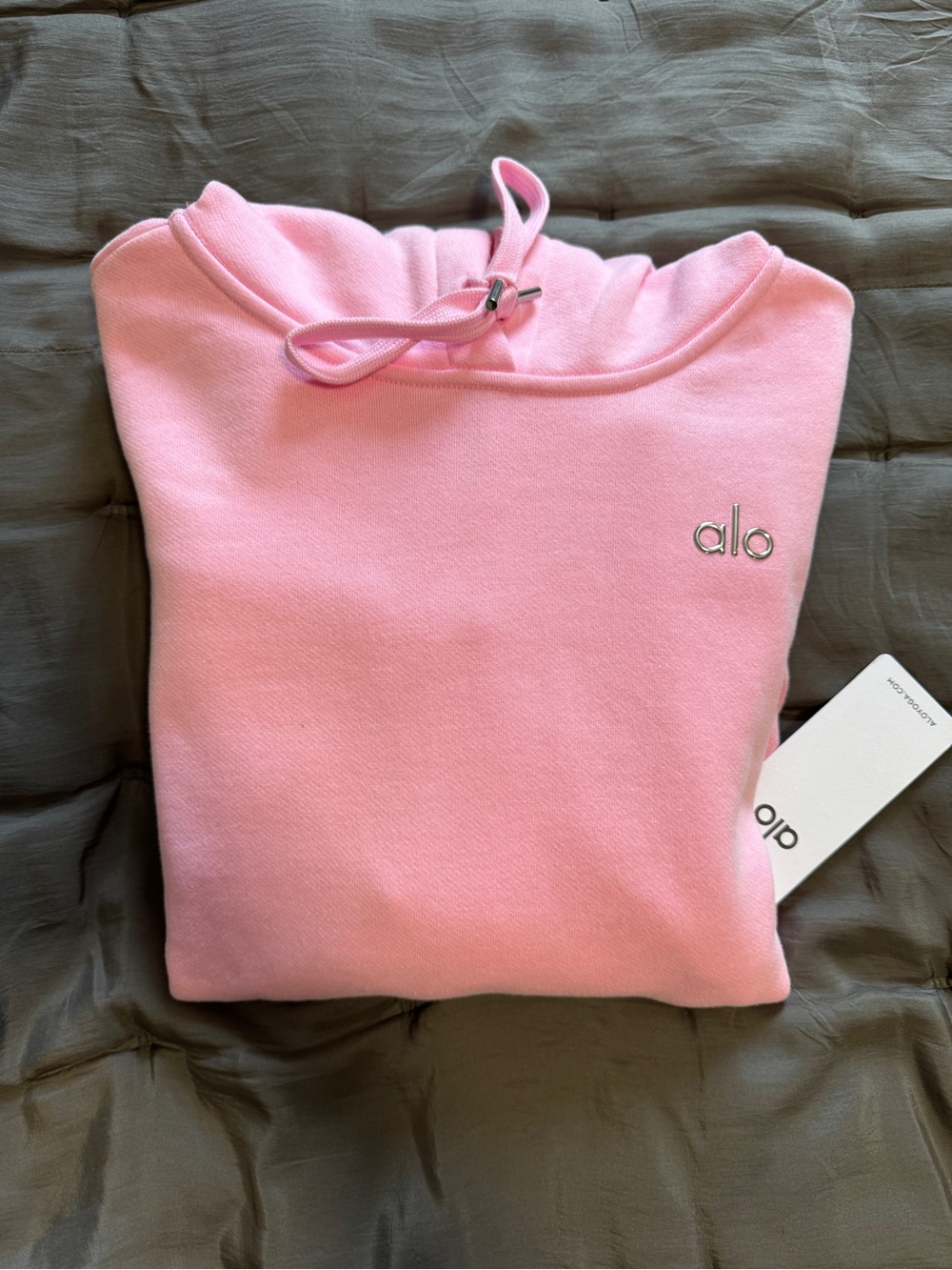 Alo Accolade Sweet Pink Hoodie